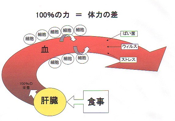 copi1no3.jpg