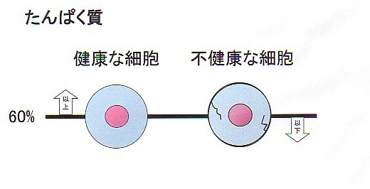 copu2no4.jpg