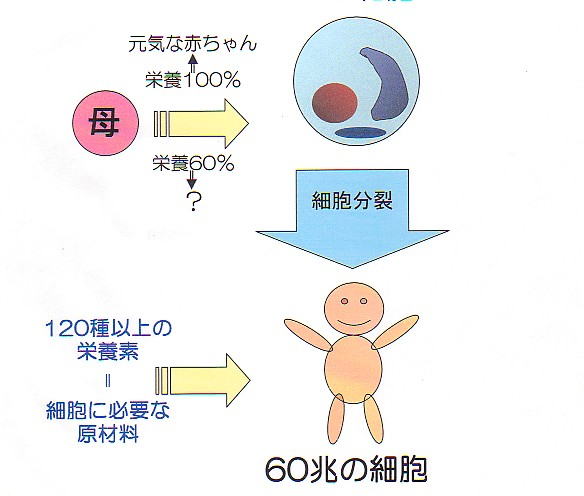 copy4no2.jpg